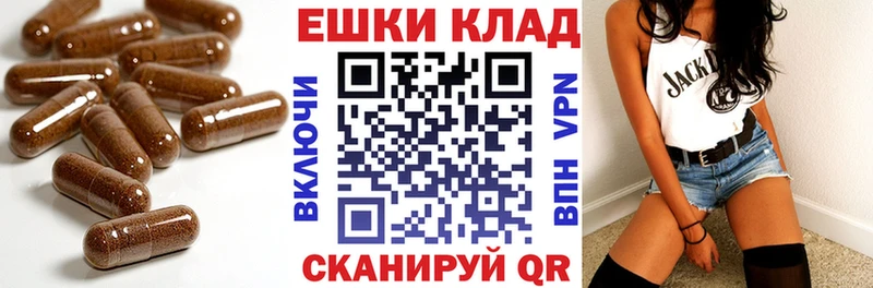 площадка как зайти  omg как зайти  Кондопога  ЭКСТАЗИ ешки 