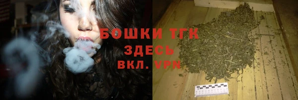трава Арсеньев