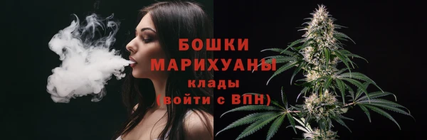 трава Арсеньев