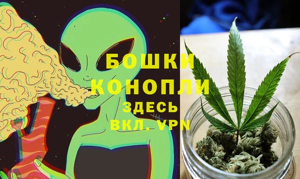 трава Арсеньев
