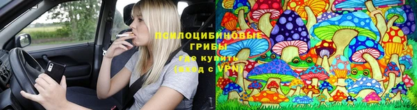 трава Арсеньев