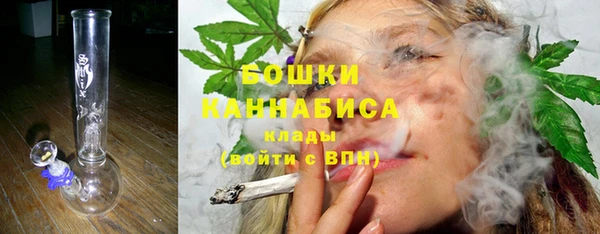 трава Арсеньев