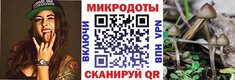mega ТОР  Кондопога  Галлюциногенные грибы Psilocybine cubensis 
